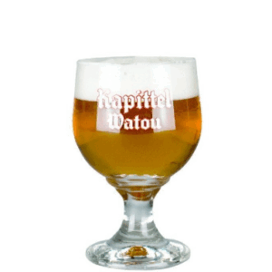 BIER B KAPITTEL WATOU BOKAAL 33CL